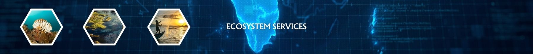 Inner Banner of Consumer Affairs